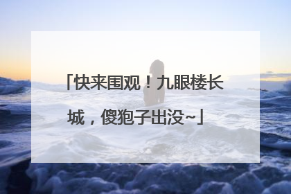 快来围观！九眼楼长城，傻狍子出没~