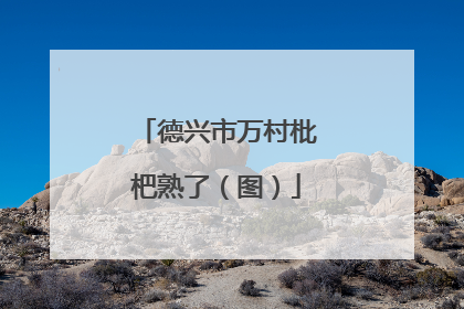 德兴市万村枇杷熟了（图）