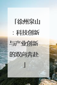 徐州泉山：科技创新与产业创新的双向奔赴