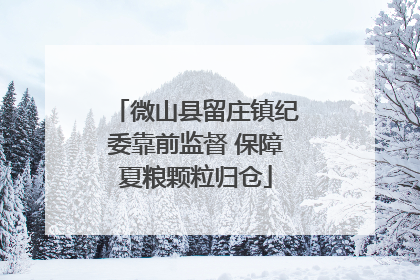 微山县留庄镇纪委靠前监督 保障夏粮颗粒归仓