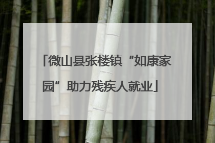 微山县张楼镇“如康家园”助力残疾人就业