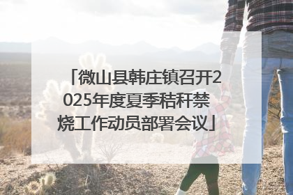 微山县韩庄镇召开2025年度夏季秸秆禁烧工作动员部署会议