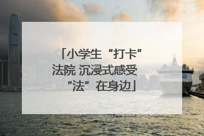 小学生“打卡”法院 沉浸式感受“法”在身边