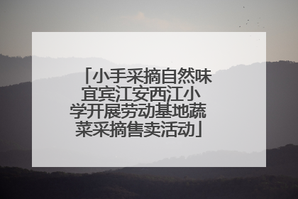 小手采摘自然味 宜宾江安西江小学开展劳动基地蔬菜采摘售卖活动