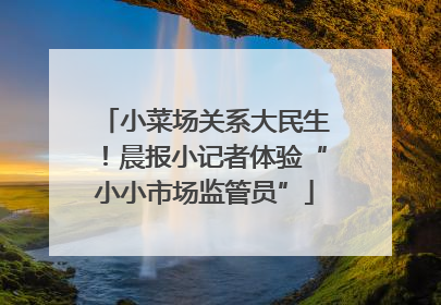 小菜场关系大民生！晨报小记者体验“小小市场监管员”