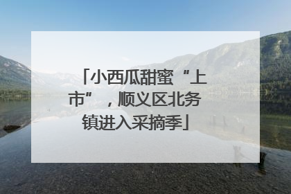 小西瓜甜蜜“上市”，顺义区北务镇进入采摘季