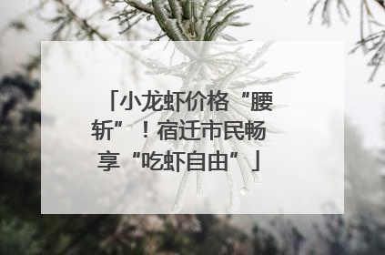 小龙虾价格“腰斩”！宿迁市民畅享“吃虾自由”