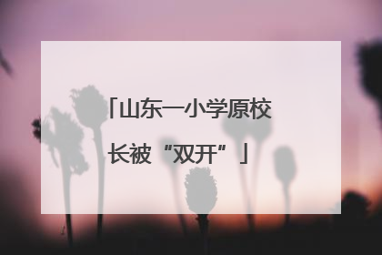 山东一小学原校长被“双开”