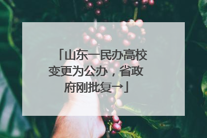 山东一民办高校变更为公办，省政府刚批复→