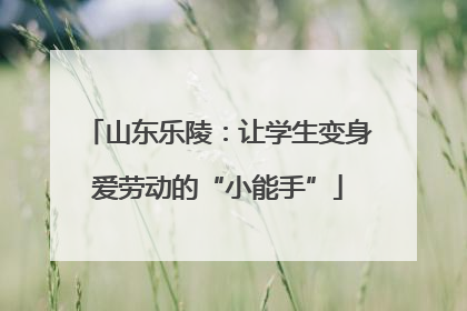 山东乐陵：让学生变身爱劳动的“小能手”