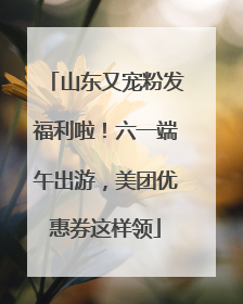 山东又宠粉发福利啦！六一端午出游，美团优惠券这样领