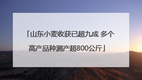山东小麦收获已超九成 多个高产品种测产超800公斤
