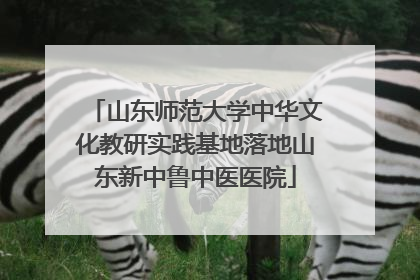 山东师范大学中华文化教研实践基地落地山东新中鲁中医医院