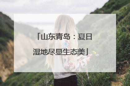 山东青岛：夏日湿地尽显生态美