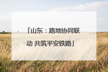 山东：路地协同联动 共筑平安铁路