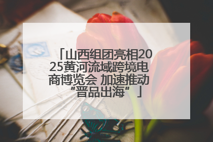 山西组团亮相2025黄河流域跨境电商博览会 加速推动“晋品出海”