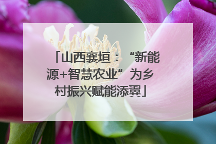 山西襄垣：“新能源+智慧农业”为乡村振兴赋能添翼