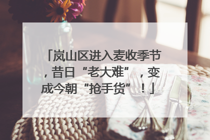 岚山区进入麦收季节，昔日“老大难”，变成今朝“抢手货”！