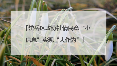岱岳区政协社情民意“小信息”实现“大作为”