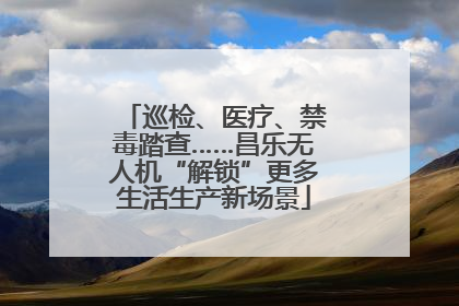 巡检、医疗、禁毒踏查……昌乐无人机“解锁”更多生活生产新场景