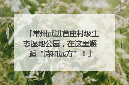 常州武进首座村级生态湿地公园，在这里邂逅“诗和远方”！