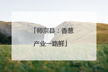 师宗县：香葱产业一路鲜