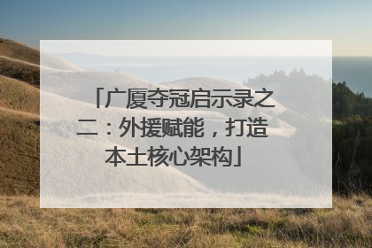 广厦夺冠启示录之二：外援赋能，打造本土核心架构