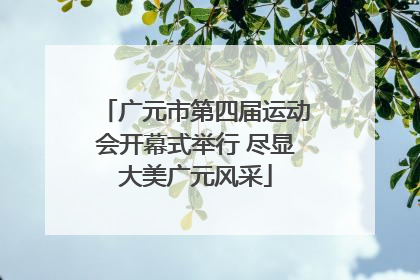 广元市第四届运动会开幕式举行 尽显大美广元风采