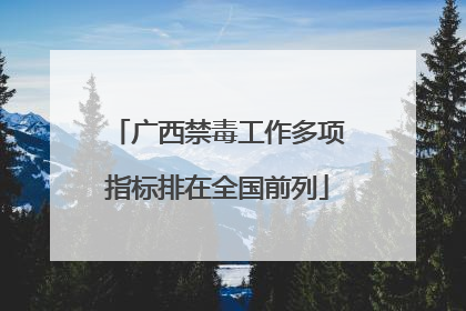 广西禁毒工作多项指标排在全国前列