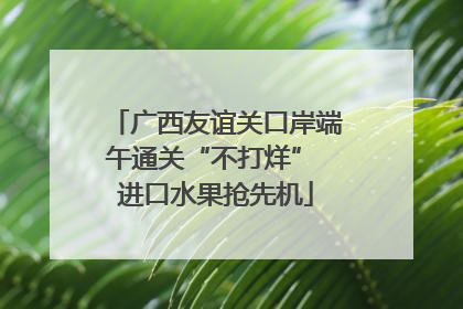 广西友谊关口岸端午通关“不打烊” 进口水果抢先机