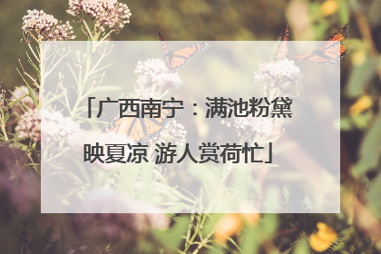 广西南宁：满池粉黛映夏凉 游人赏荷忙