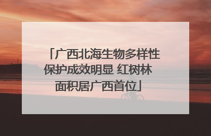 广西北海生物多样性保护成效明显 红树林面积居广西首位