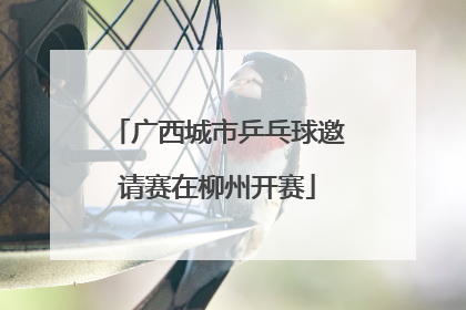 广西城市乒乓球邀请赛在柳州开赛
