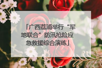 广西荔浦举行“军地联合”防汛抢险应急救援综合演练