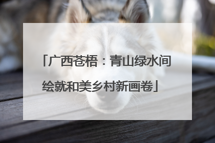 广西苍梧：青山绿水间绘就和美乡村新画卷
