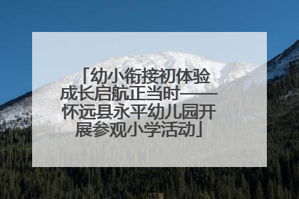 幼小衔接初体验 成长启航正当时——怀远县永平幼儿园开展参观小学活动