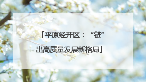 平原经开区：“链”出高质量发展新格局
