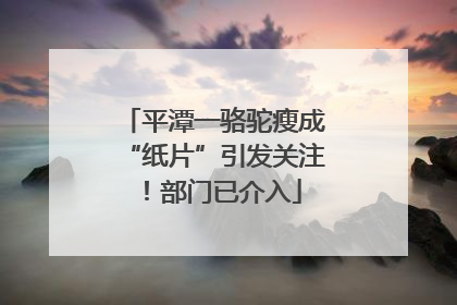 平潭一骆驼瘦成“纸片”引发关注！部门已介入
