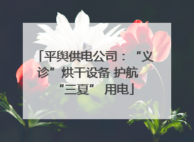 平舆供电公司：“义诊”烘干设备 护航 “三夏” 用电