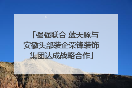 强强联合 蓝天豚与安徽头部装企荣锋装饰集团达成战略合作