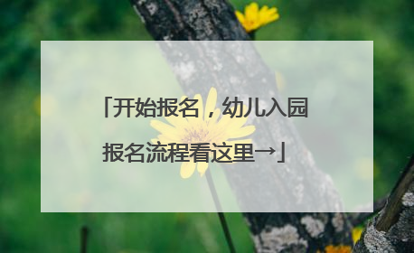 开始报名，幼儿入园报名流程看这里→