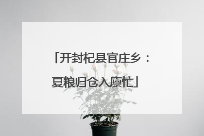 开封杞县官庄乡：夏粮归仓入廪忙