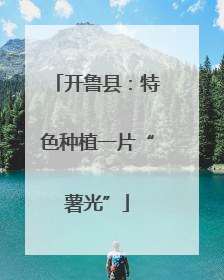 开鲁县：特色种植一片“薯光”