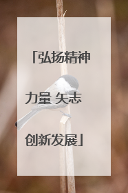 弘扬精神力量 矢志创新发展