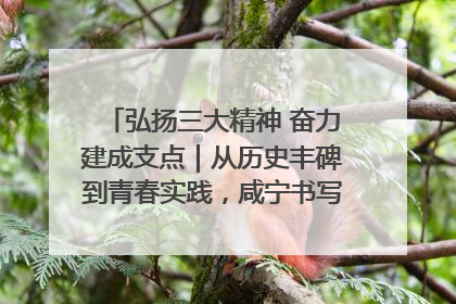 弘扬三大精神 奋力建成支点｜从历史丰碑到青春实践，咸宁书写精神传承新篇章