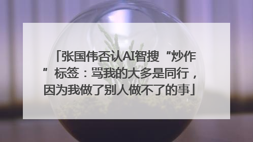 张国伟否认AI智搜“炒作”标签：骂我的大多是同行，因为我做了别人做不了的事