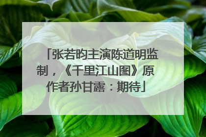 张若昀主演陈道明监制，《千里江山图》原作者孙甘露：期待