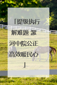 提级执行解难题 漯河中院公正高效暖民心