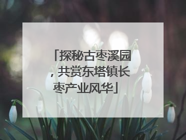 探秘古枣溪园，共赏东塔镇长枣产业风华