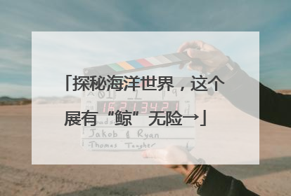 探秘海洋世界，这个展有“鲸”无险→